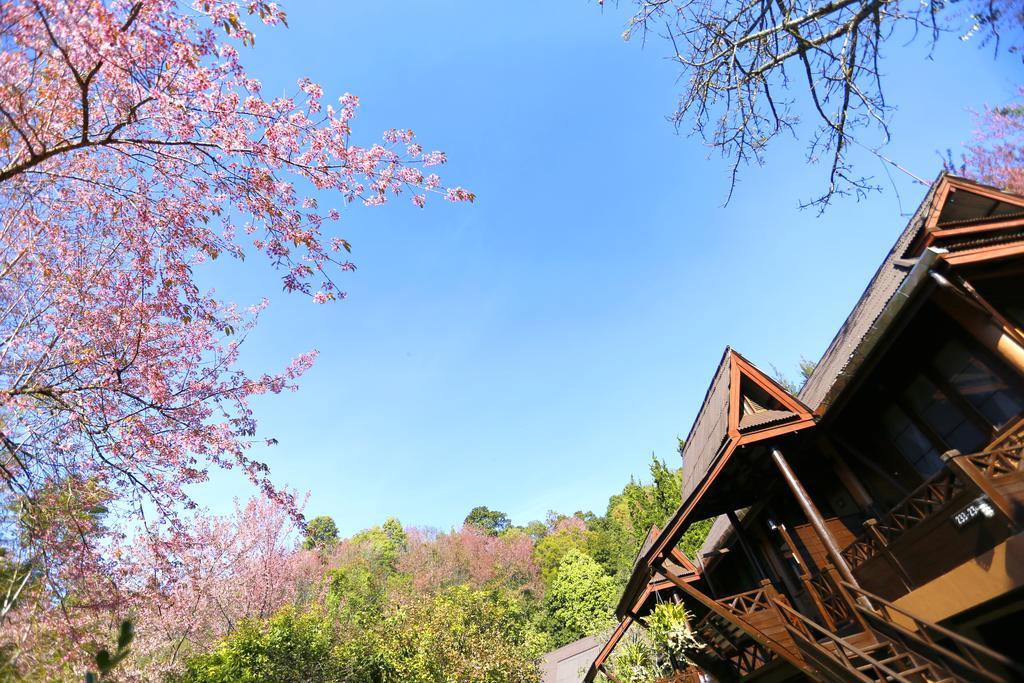 Angkhang Nature Resort Fang Exterior photo