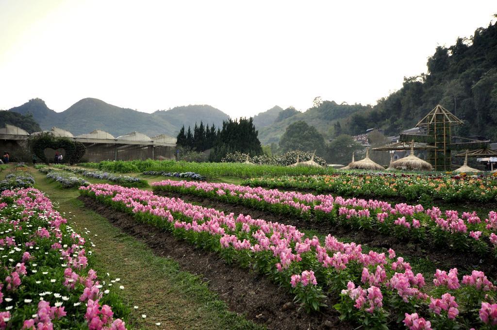 Angkhang Nature Resort Fang Exterior photo